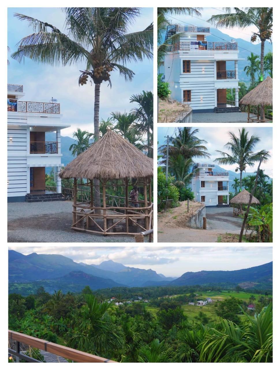 Palm View