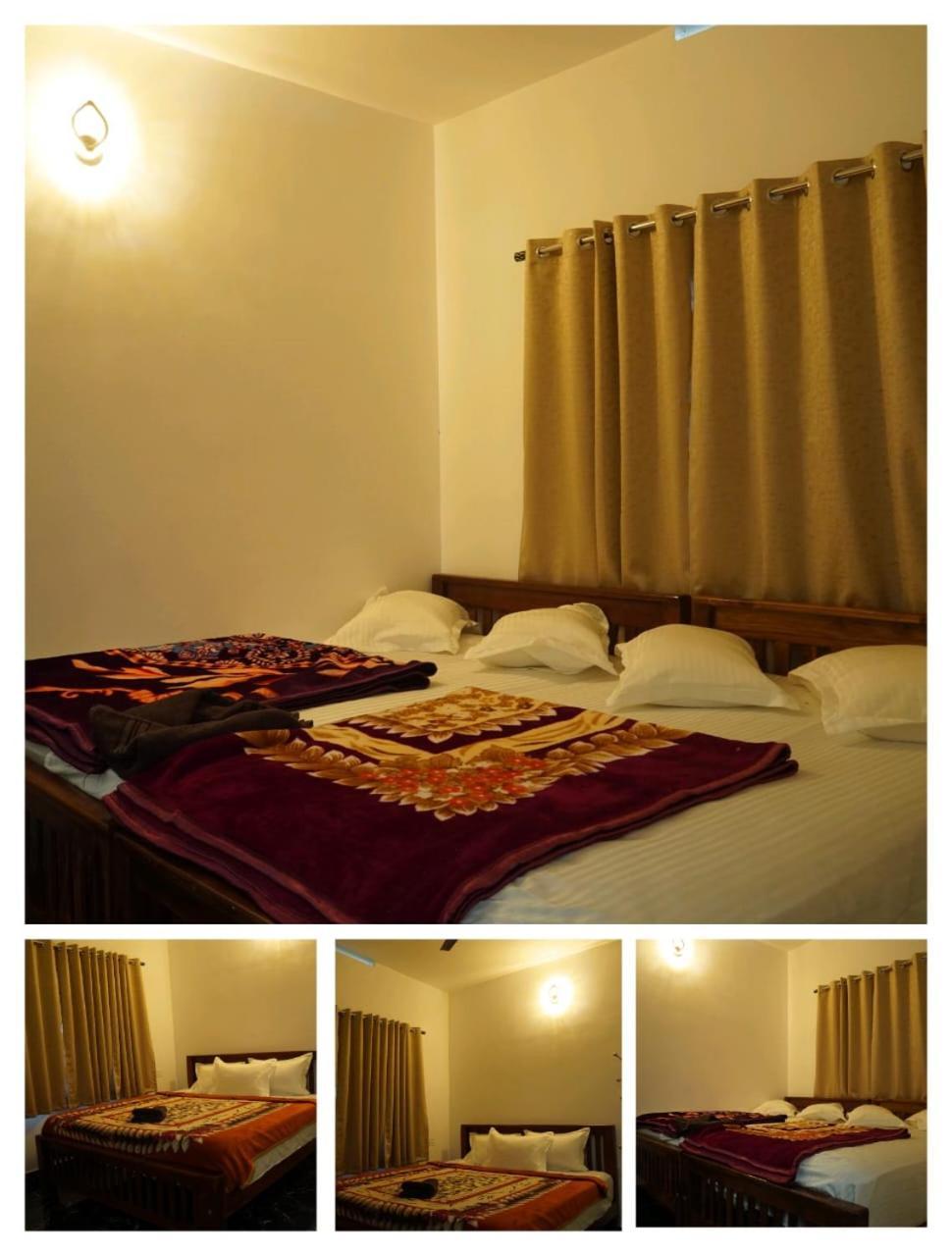 Palm View Homestay *