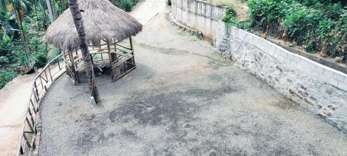 Homestay Palm View